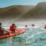 Private Tsitsikamma Tour - Full Day - Why This Tour Works for Different Types of Travelers
