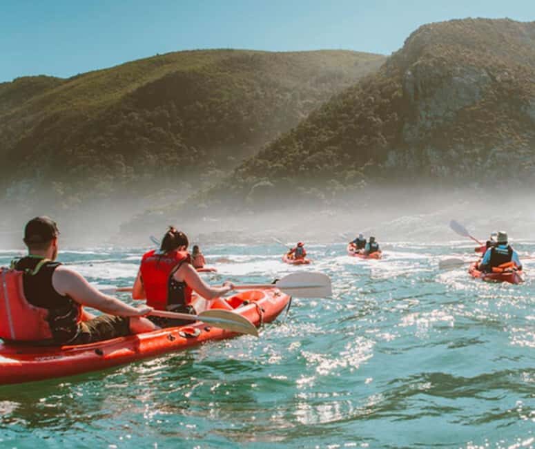 Private Tsitsikamma Tour - Full Day - Why This Tour Works for Different Types of Travelers