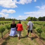 Private Wairarapa Wine Delights Tour from Wellington - The Itinerary: What to Expect
