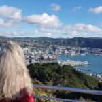 Private Wellington Full Day Sightseeing Tour - FAQs