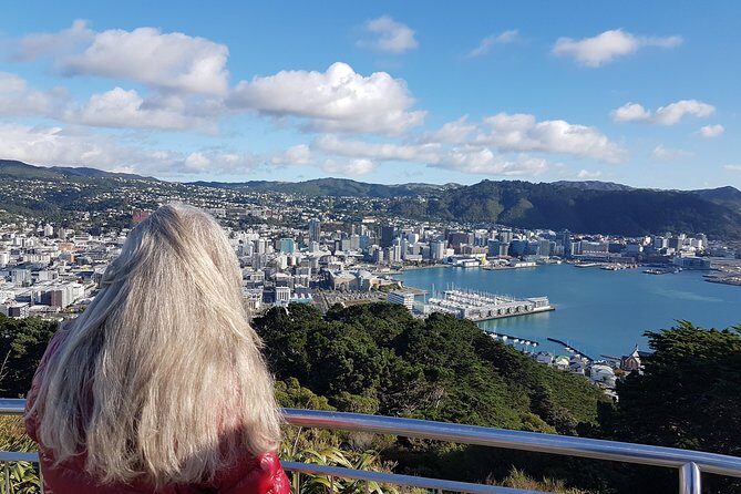 Private Wellington Full Day Sightseeing Tour - FAQs