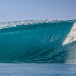 Private Whale Outing on the Tahiti Peninsula - Discovering the Tahiti Peninsula’s Marine Wonders