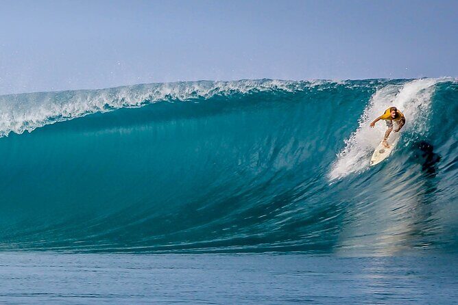 Private Whale Outing on the Tahiti Peninsula - Discovering the Tahiti Peninsula’s Marine Wonders
