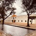 Private Wine Tasting Tour: Stellenbosch and Franschhoek - Deep Dive into the Experience
