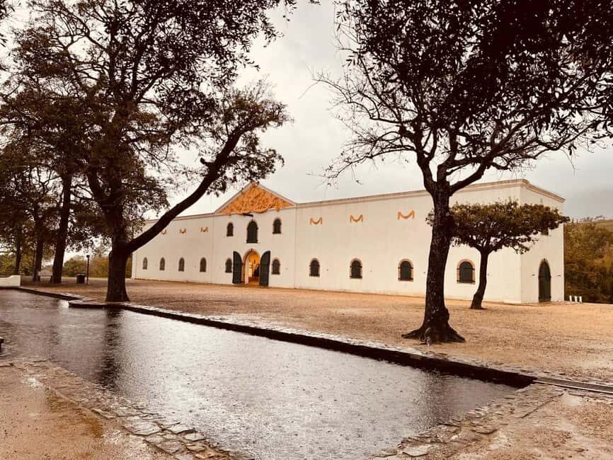 Private Wine Tasting Tour: Stellenbosch and Franschhoek - Deep Dive into the Experience