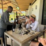 Private Wine Tasting Tour: Stellenbosch, Franschhoek, Paarl - Who Should Consider This Tour?
