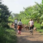 PRODIGIOUS CULTURAL TOUR - Practical Details and What to Expect
