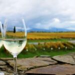 Progressive Wine & Gourmet Trail from Blenheim or Picton - What to Expect: The Experience in Detail