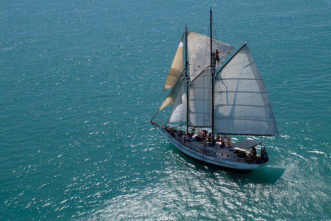 Providence Whitehaven Beach Sailing and Snorkeling Cruise - Who Is This Tour Perfect For?