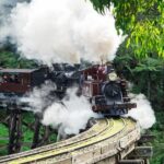 Puffing Billy And Healesville Sanctuary Scenic Tour - Healesville Sanctuary: Encounter Australian Wildlife