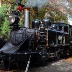 Puffing Billy And Phillip Island Penguin Parade Bus Tour - Why This Tour Offers Great Value