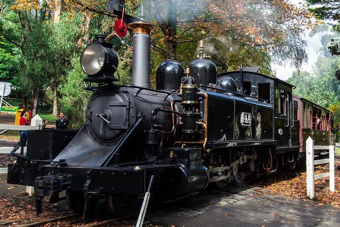Puffing Billy And Phillip Island Penguin Parade Bus Tour - Why This Tour Offers Great Value
