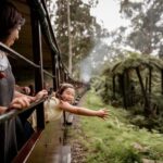Puffing Billy Railway: Heritage Steam Train Journey - Journey Options and Stations