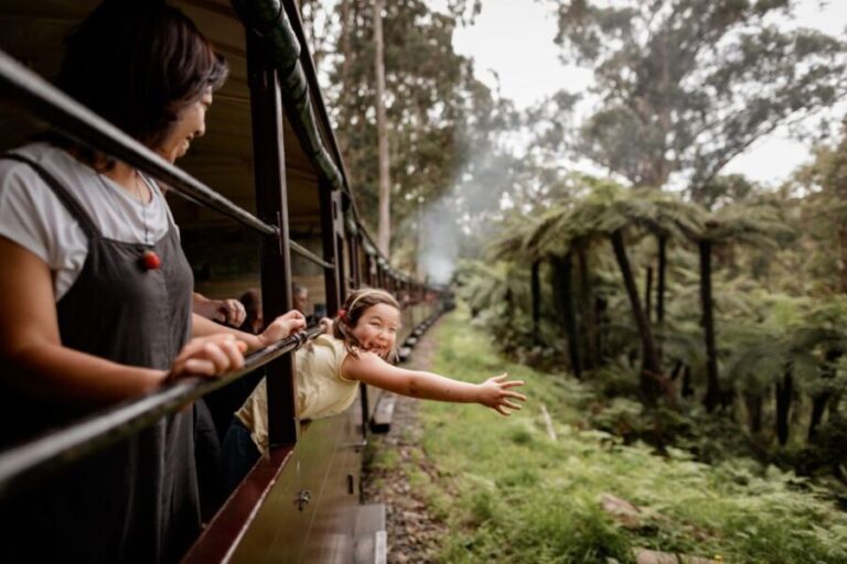 Puffing Billy Railway: Heritage Steam Train Journey - Journey Options and Stations