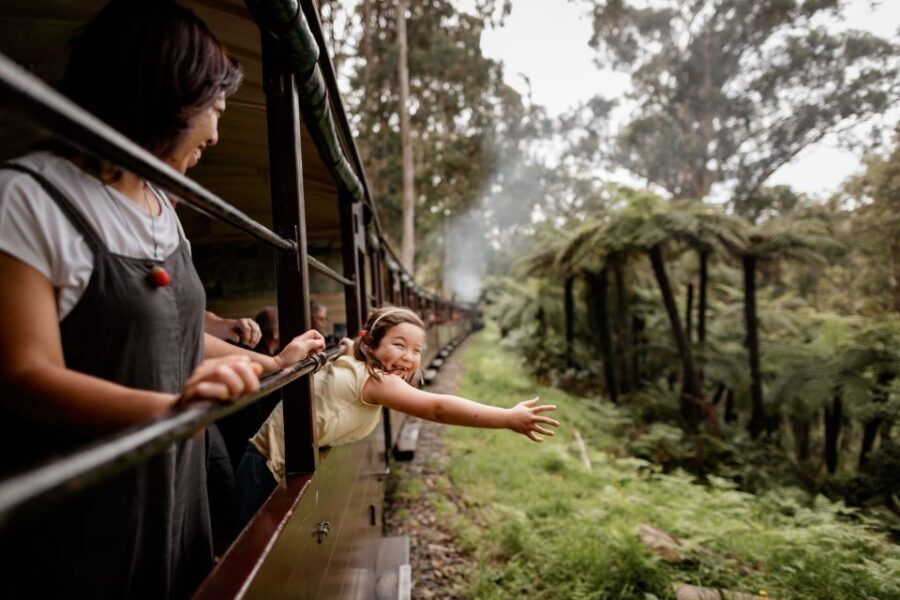 Puffing Billy Railway: Heritage Steam Train Journey - Journey Options and Stations