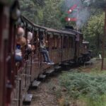 Puffing Billy Steam Train & Cherry Picking Tour from Melbourne - Whats Included and Whats Not