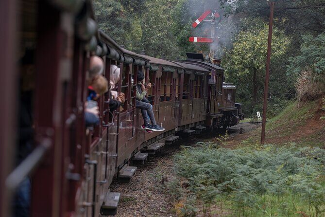 Puffing Billy Steam Train & Cherry Picking Tour from Melbourne - Whats Included and Whats Not
