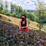 Purple Tea Farm Tour from Nairobi with Tea Tasting & lunch - The Waterfall Trek and Bamboo Forest