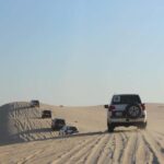 Qatar Desert Safari Tours - Evaluating the Value