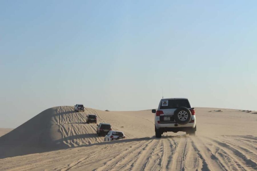 Qatar Desert Safari Tours - Evaluating the Value