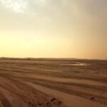 Qatar: Sunset Desert Safari with Camel Ride & Sandboarding - The Sum Up