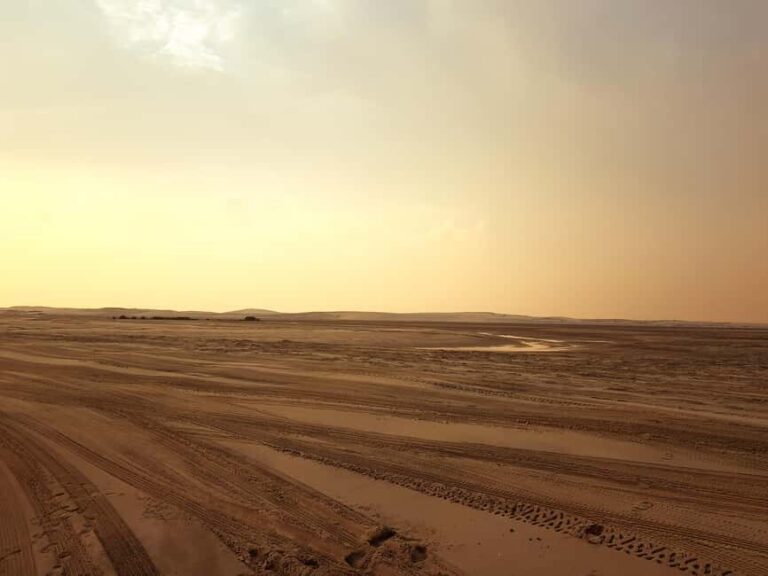 Qatar: Sunset Desert Safari with Camel Ride & Sandboarding - The Sum Up