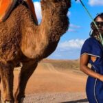 Quad Bike Adventure: Exploring Agafay Desert from Marrakech - What To Expect: Practical Details