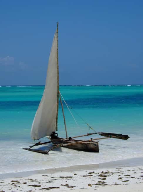 Quad bike ride and stone town private trip. - Who Is This Tour Best For?