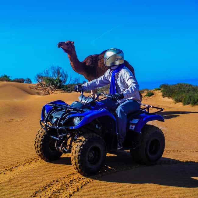 Quad Biking & Camel Riding Combo: Thrill Meets Tradition - Authentic Insights from Past Travelers
