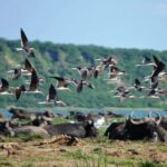 Queen Elizabeth National Park 3-Day Trip from Kampala - What You’ll Love About This Tour