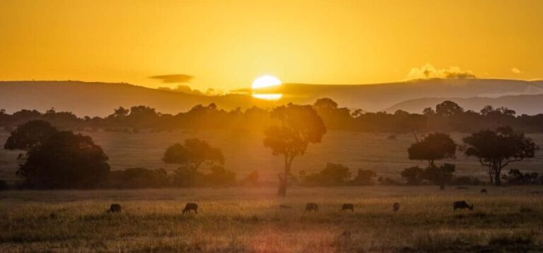 Queen Elizabeth National Park Day Safari - Practical Details and What To Expect