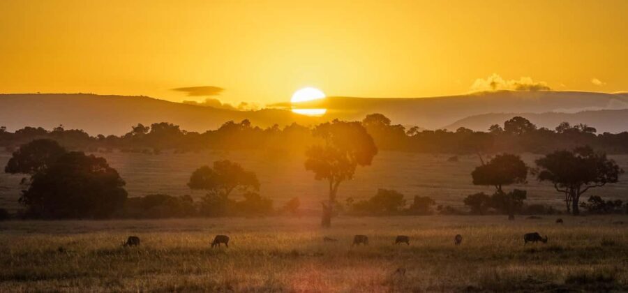 Queen Elizabeth National Park Day Safari - Practical Details and What To Expect