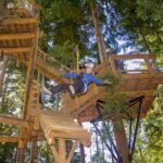 Queenstown: 2-Hour Zipline Tour with 4-Lines - The Itinerary Breakdown