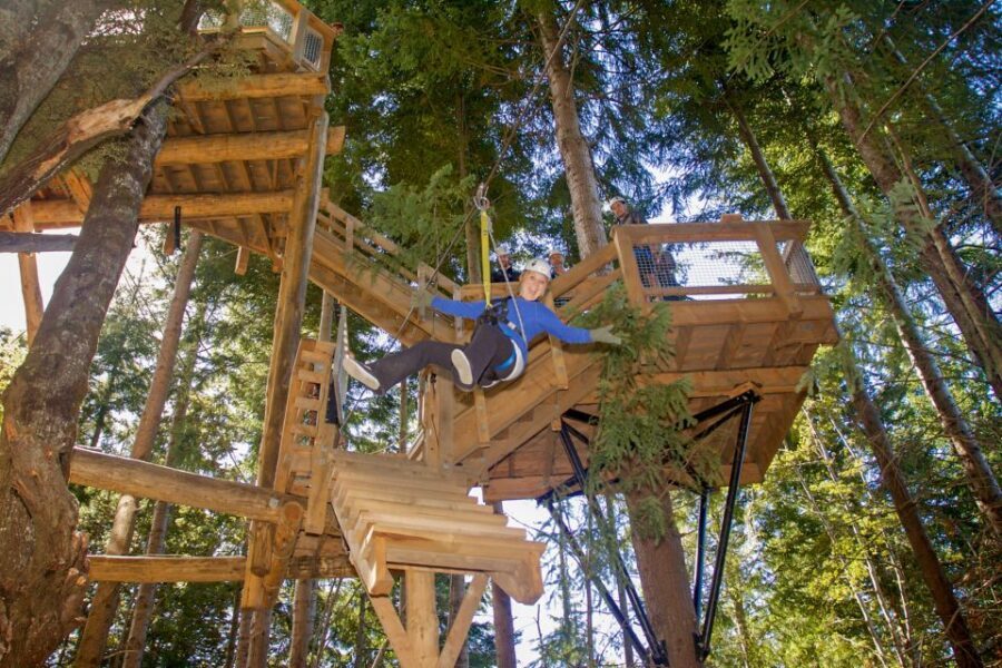 Queenstown: 2-Hour Zipline Tour with 4-Lines - The Itinerary Breakdown