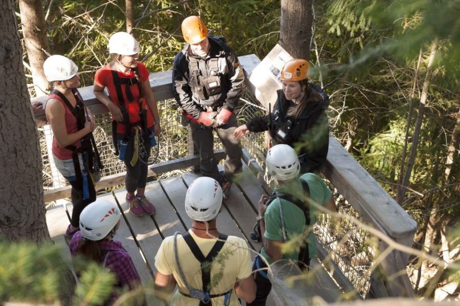 Queenstown: 3-Hour Zipline Adventure with 6-Lines - Practical Tips for Your Zipline Adventure