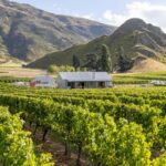 Queenstown, Arrowtown, Gibbston: Flexible Wine Hopper Tours - What to Expect at Each Stop