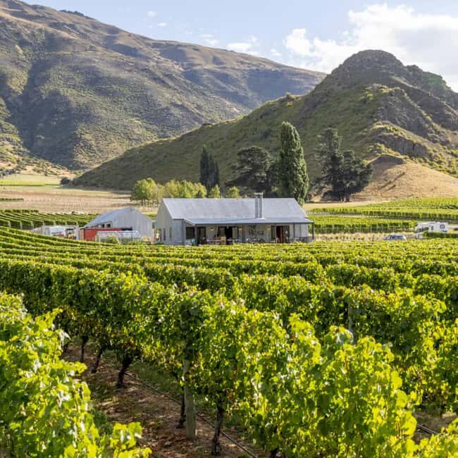 Queenstown, Arrowtown, Gibbston: Flexible Wine Hopper Tours - What to Expect at Each Stop