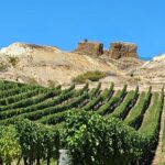Queenstown: Central Otago Wine Tour - Price and Value