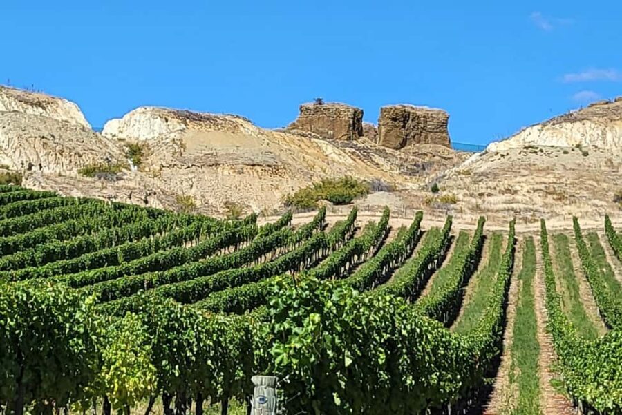 Queenstown: Central Otago Wine Tour - Price and Value