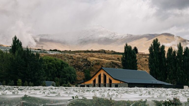 Queenstown: Classic Central Otago Wine Tasting Experience - Who Will Love This Experience?