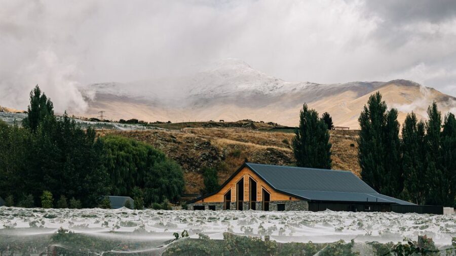 Queenstown: Classic Central Otago Wine Tasting Experience - Who Will Love This Experience?