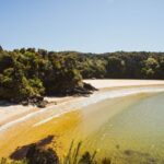 Queenstown: Day Trip to Stewart Island via Scenic Flight - The Practical Side: What You Need to Know