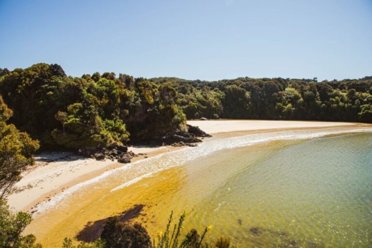 Queenstown: Day Trip to Stewart Island via Scenic Flight - The Practical Side: What You Need to Know