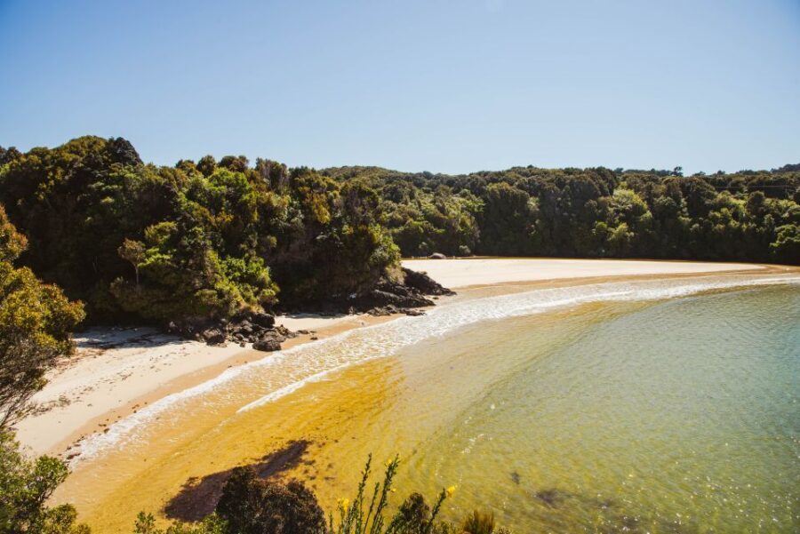 Queenstown: Day Trip to Stewart Island via Scenic Flight - The Practical Side: What You Need to Know