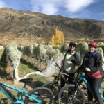 Queenstown: Guided E-Bike Tour with Winery Visits & Tastings - What It Means for You