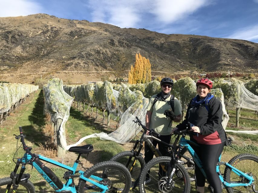 Queenstown: Guided E-Bike Tour with Winery Visits & Tastings - What It Means for You
