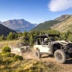 Queenstown Guided Self-Drive Buggy Tour - Guides and Safety Measures