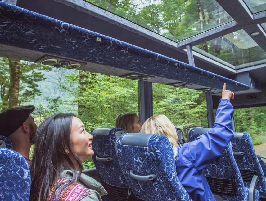 Queenstown: Milford Sound Coach & Cruise Full-Day Trip - What to Expect on This Milford Sound Tour