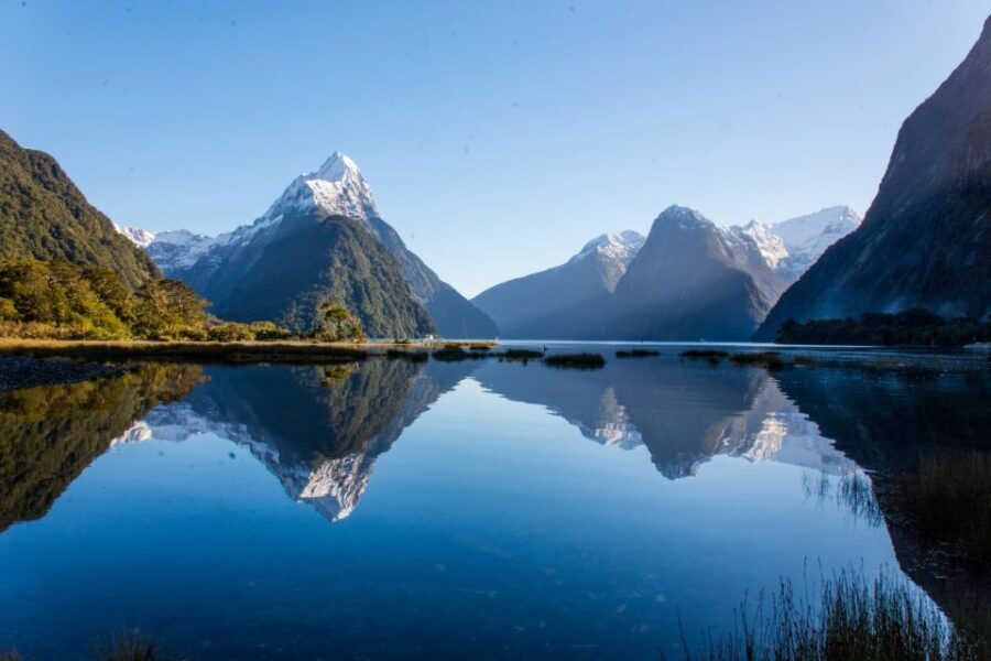 Queenstown: Milford Sound Cruise & Helicopter Alpine Tour - Who Will Love This Tour?