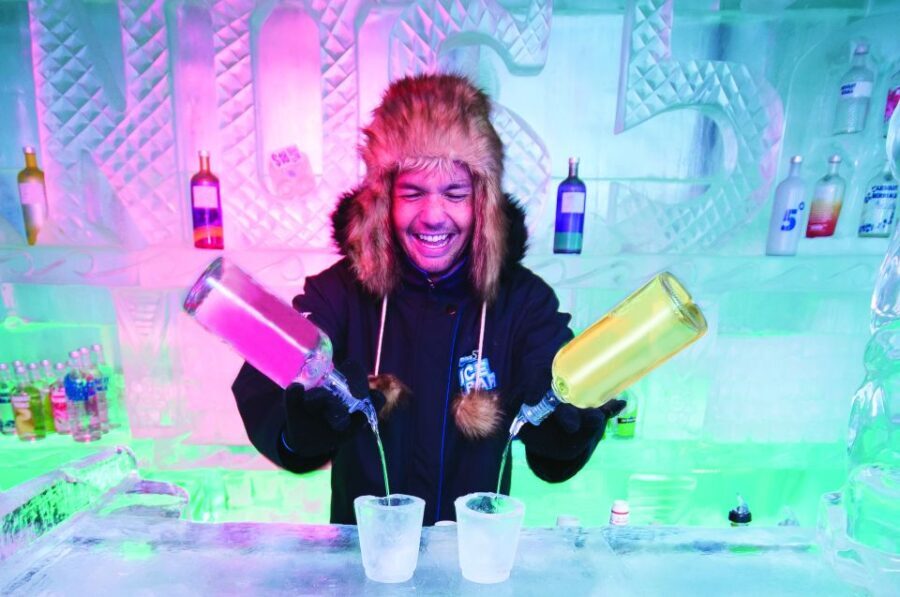 Queenstown: Minus 5 Ice Bar Experience with Drink Options - The Ice Sculptures and Atmosphere